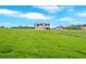The grassy property and lawn surrounding the home at 152 Palisade Dr, Rydal, GA 30171