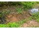 A shallow creek runs through the Parkstone community, edged by greenery and providing a natural ambiance at 6585 Canyon Cv, Cumming, GA 30028