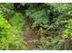 A serene creek meanders through the Parkstone community, surrounded by lush greenery at 6585 Canyon Cv, Cumming, GA 30028