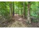 Scenic walking trail winding through a lush, green forest, perfect for nature enthusiasts and outdoor activities at 6585 Canyon Cv, Cumming, GA 30028