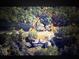 An aerial view of a wooded lot with two buildings and a defined boundary at 905 John Ward Rd, Marietta, GA 30064