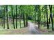A winding walkway cuts through a dense grove of tall trees at 2985 Heather Stone Way, Lawrenceville, GA 30043