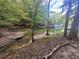 A serene waterfront view with trees, foliage, and calm waters at 7080 Driskell Cir, Cumming, GA 30041
