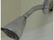 Close-up of a classic, chrome shower head providing a steady stream of water at 804 Bridle Cove, Stockbridge, GA 30281
