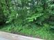 View of foliage and trees from a wooden deck at 134 Summer Lake Dr, Dallas, GA 30157