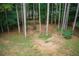Grassy backyard featuring towering trees and wooden fence for added privacy at 111 Bexley Ln, Douglasville, GA 30134