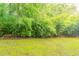 Backyard of the home contains bamboo trees and open space at 2378 Randall Ave, Lithonia, GA 30058