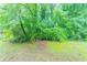 This backyard is heavily wooded at 2817 Burton Nw Rd, Atlanta, GA 30311