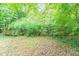 A lush backyard with mature trees and green foliage, creating a private outdoor space at 5218 Tina Ct, Stone Mountain, GA 30083