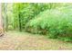 View of the spacious wooded backyard, offering privacy and a natural setting at 5218 Tina Ct, Stone Mountain, GA 30083