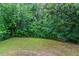 The home's lush backyard is framed by dense trees, offering a serene and private outdoor space at 2654 Laurel View Dr, Snellville, GA 30039