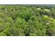 Lush green trees with a golf course in the distance create a serene and picturesque aerial view at 4161 Thunderbird Se Dr, Marietta, GA 30067