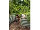 Picturesque garden featuring raised garden beds, lush greenery, and chickens roaming freely, perfect for a sustainable lifestyle at 1195 Russell Dr, Decatur, GA 30030