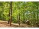 A spacious backyard featuring mature trees and a custom-built playhouse for children at 160 Vinnys Way, Covington, GA 30014