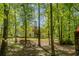 Scenic backyard with a peek of the home's back exterior through mature trees at 160 Vinnys Way, Covington, GA 30014