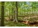 Tranquil backyard with mature trees and natural landscape, providing a peaceful retreat at 160 Vinnys Way, Covington, GA 30014