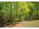 Beautiful backyard featuring mature trees, lush greenery, and a charming playhouse at 160 Vinnys Way, Covington, GA 30014