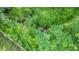 Lush greenery and foliage fills this private backyard space at 2178 Shamrock Dr, Decatur, GA 30032