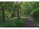 Winding stone pathway through a lush garden filled with mature trees and vibrant greenery at 2 W Muscogee Nw Ave, Atlanta, GA 30305