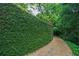 Lush green vine-covered garden wall bordering a pea gravel path at 2 W Muscogee Nw Ave, Atlanta, GA 30305
