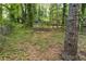 Wooded backyard with leaves and a fire pit at 2505 Mellville Ave, Decatur, GA 30032