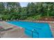 Large community pool surrounded by lounge chairs and lush greenery for relaxation and recreation at 403 Hidden Hills Ct, Canton, GA 30115