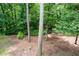 Wooded backyard view with mature trees, stream, and a fire pit, ideal for outdoor enjoyment at 4920 Hampton Lake Dr, Marietta, GA 30068