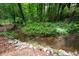 Tranquil creek flowing through the wooded backyard, offering a peaceful and private setting at 4920 Hampton Lake Dr, Marietta, GA 30068