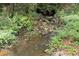Lush greenery surrounds a small, rocky stream, creating a serene natural landscape on the property at 4920 Hampton Lake Dr, Marietta, GA 30068