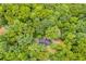 Overhead view of a home surrounded by mature trees, with a sprawling canopy at 4985 Watkins Ct, Winston, GA 30187