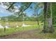 Scenic lake view with mature trees and lush greenery at 528 Savannah Rose Way, Lawrenceville, GA 30045