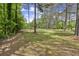 Picturesque property showcasing mature trees, providing a sense of privacy and natural beauty at 3630 Spot Rd, Cumming, GA 30040