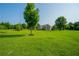 Well-kept backyard featuring lush green grass, mature trees, and a picturesque view of the home at 815 Spring View Ct, Covington, GA 30014