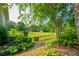 Beautiful backyard with lush greenery, mature trees, and a well-maintained fence at 815 Spring View Ct, Covington, GA 30014