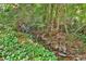Beautiful flowing creek with rock bed surrounded by lush plants and trees at 400 Old Ivy Ne Rd, Atlanta, GA 30342