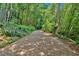 Gravel driveway surrounded by mature landscaping and bamboo trees at 400 Old Ivy Ne Rd, Atlanta, GA 30342