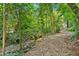 Gravel driveway lined with lush greenery and trees leading to the home at 400 Old Ivy Ne Rd, Atlanta, GA 30342