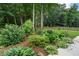 The backyard features a variety of plants and mulch and a wooden fence for privacy at 2772 Hillgrove Dr, Dacula, GA 30019