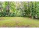 Expansive backyard with lush green lawn and mature trees providing shade and privacy at 5352 Windfern Ct, Stone Mountain, GA 30088