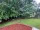 Green backyard surrounded by mature trees, perfect for outdoor activities and enjoying nature at 12 Isabella Ne Ct, Cartersville, GA 30121