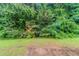 Green backyard with trees and shrubs at 541 Shadow Valley Ct, Lithonia, GA 30058