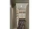 Walk-in closet with custom shelving for storage and organization at 255 Carriage Station Dr, Lawrenceville, GA 30046