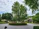 Picturesque cul-de-sac with mature tree, green landscaping, and well-maintained homes at 151 Overhill Point, Alpharetta, GA 30005