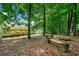 Wooded backyard with mature trees, seating, and firepit at 2623 Lone Oak Nw Trl, Kennesaw, GA 30144