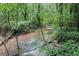Scenic creek surrounded by lush greenery, offering a tranquil and natural backyard view at 1879 Beaver Dam Ne Ln, Marietta, GA 30062