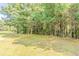 View of the backyard with a line of trees in the background on a sunny day at 4938 Wewatta Sw St, Atlanta, GA 30331