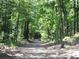 A wooded path with sunlight filtering through the trees, creating a peaceful and inviting outdoor space at 3542 Chattahoochee Summit Se Ln, Atlanta, GA 30339