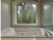 Elegant bathroom with a large jetted tub and wooded view at 80 Surrey Chase Drive, Social Circle, GA 30025