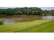 Picturesque lake view surrounded by greenery, offering a serene and natural waterfront setting at 2675 Portabella Ln, Cumming, GA 30041