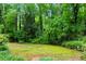 Lush backyard showcasing a well-maintained lawn, large trees, and vibrant greenery at 895 Fawn Way, Marietta, GA 30068
